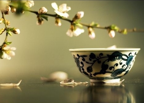 星座養(yǎng)生