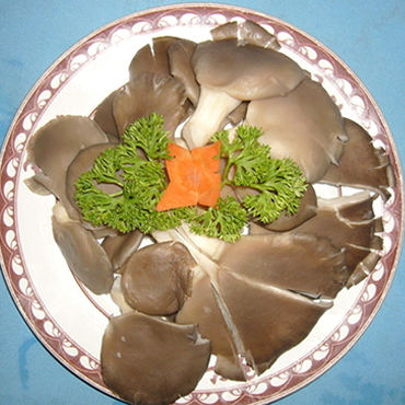 蘑菇的功效與作用 “小”菇類7種“大”